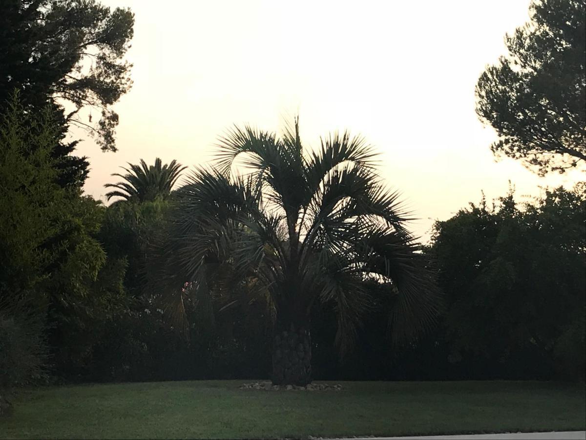 Belle Villa Dans Clos Prive - Saint Raphael Boulouris Екстериор снимка